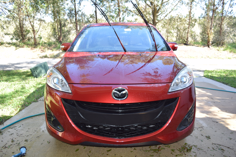Back from the roughly 1900 mile road trip. I couldn’t relax until I got all the bugs off.